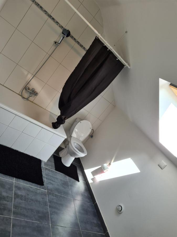 Au Petit Ravel Loft Cosy Au Coeur De La Nature Apartment Bernissart ภายนอก รูปภาพ